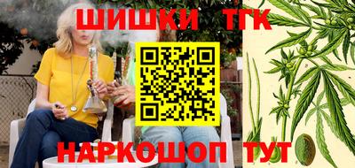 индика Малгобек