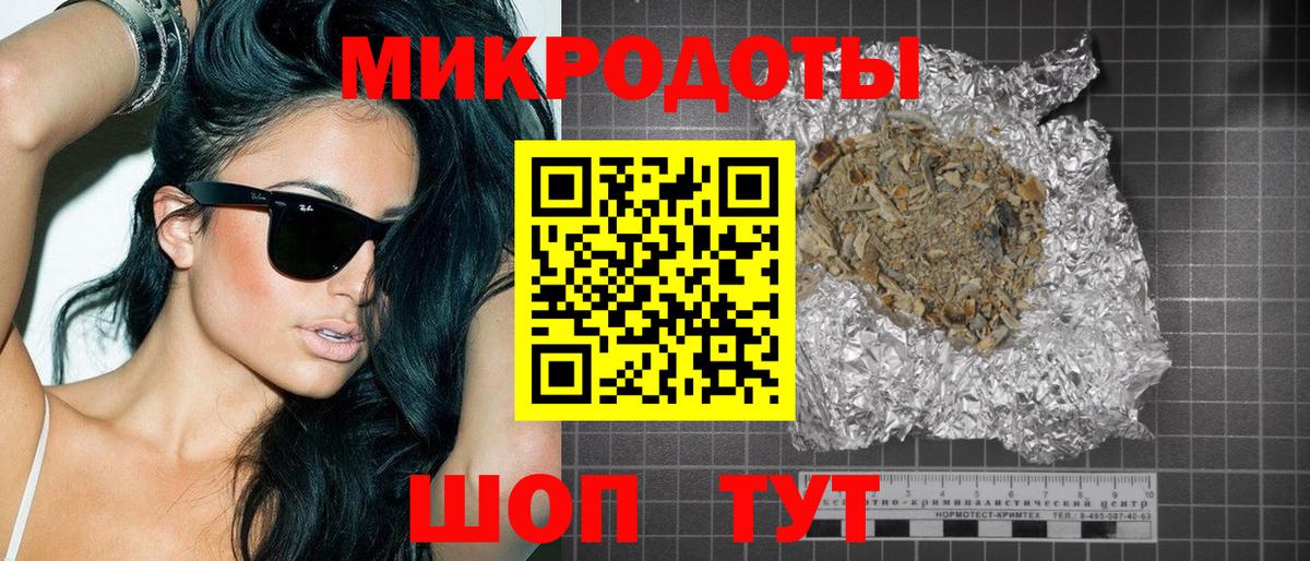 Галлюциногенные грибы Psilocybine cubensis Ставрополь