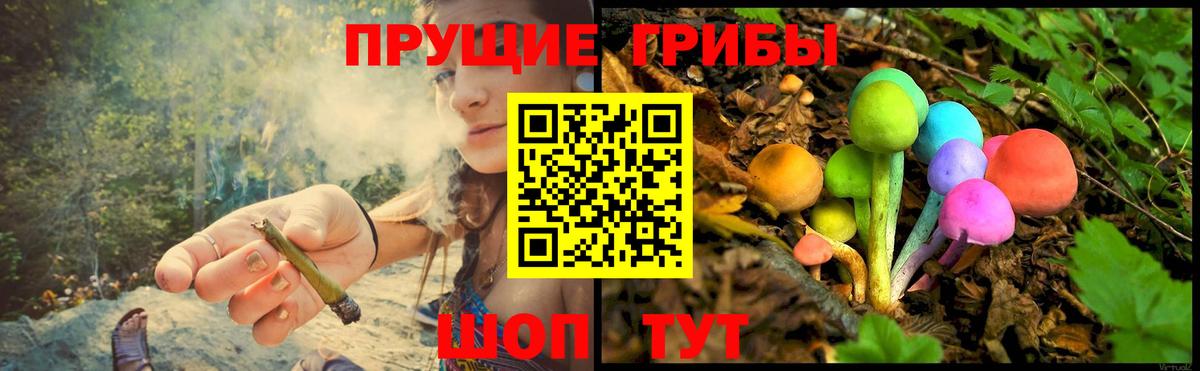 хочу наркоту  Галлюциногенные грибы ЛСД  Вход с VPN  Ставрополь 